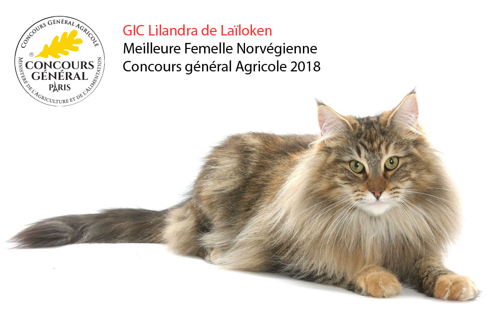 Lilandra de Laïloken- Concours général Agricole 2018